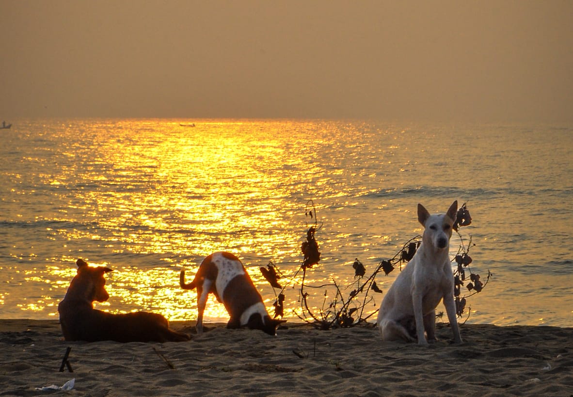 Pondicherry